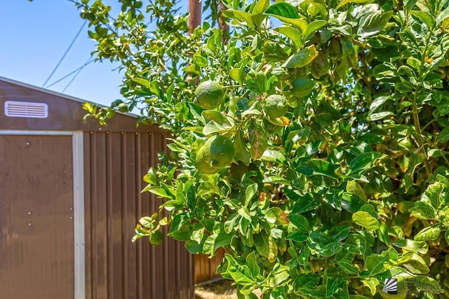 285 E 26th St, Yuma, AZ 85364 - exterior space