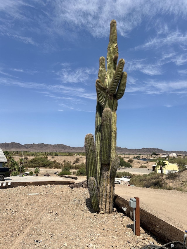 9854 Snipe Rd, Yuma, AZ 85365 - photo 37