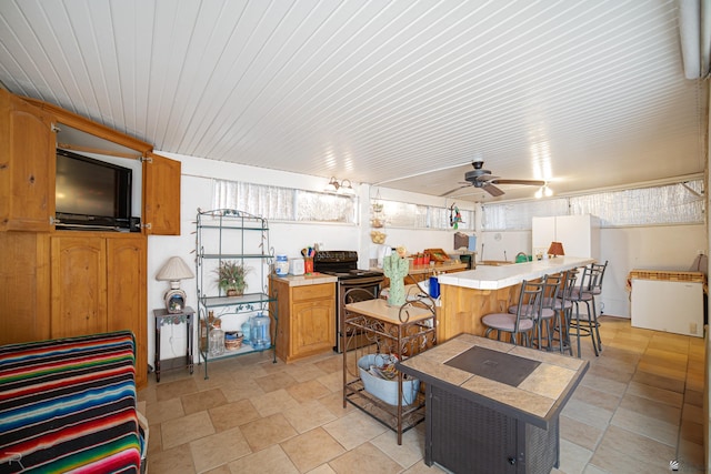 13252 E 54th Dr, Yuma, AZ 85367 - interior space featuring outdoor dry bar and ceiling fan