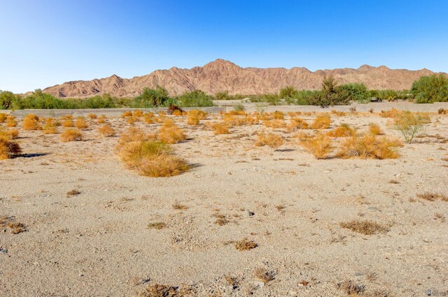 0000 N Masterson, Yuma, AZ 85367 - photo 24