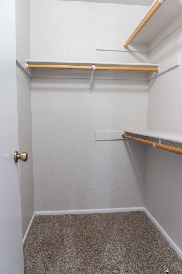 6351 E 41st St, Yuma, AZ 85365 - walk in closet featuring carpet floors