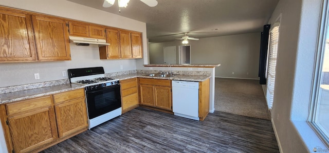 6351 E 41st St, Yuma, AZ 85365 - kitchen featuring dishwasher, gas stove, ceiling fan, under cabinet range hood, and a sink