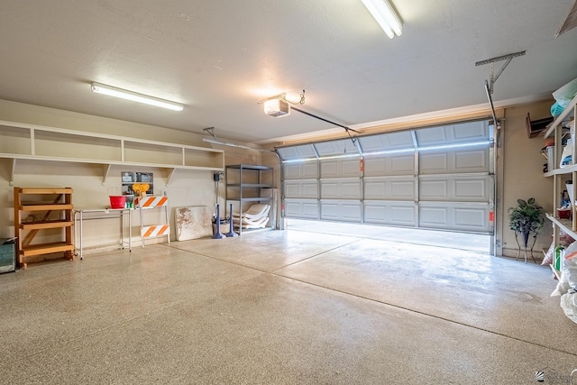 garage with a garage door opener