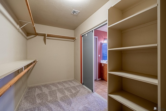 spacious closet featuring light colored carpet