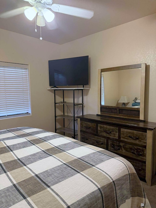 14696 E 49th Dr, Yuma, AZ 85367 - photo 13