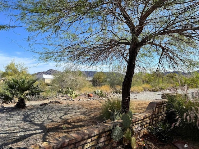 14818 E 52nd St, Yuma, AZ 85367 - view of yard with a mountain view