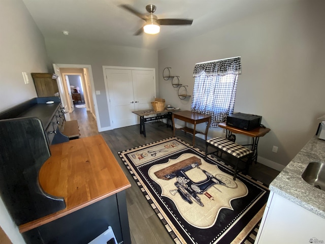 14673 E 52nd St, Yuma, AZ 85367 - bedroom featuring a closet, wood finished floors, baseboards, ceiling fan, and a sink