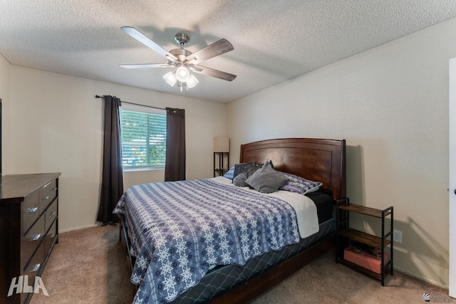 653 W Patricia St, Somerton, AZ 85350 - photo 10