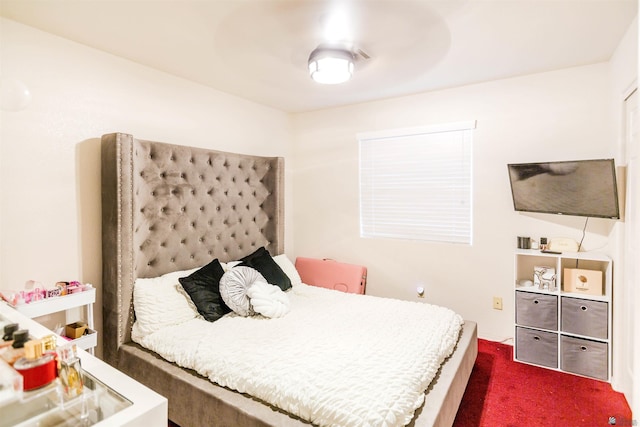 3495 S Salida Del Sol Ave, Yuma, AZ 85365 - photo 16
