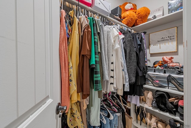 view of walk in closet