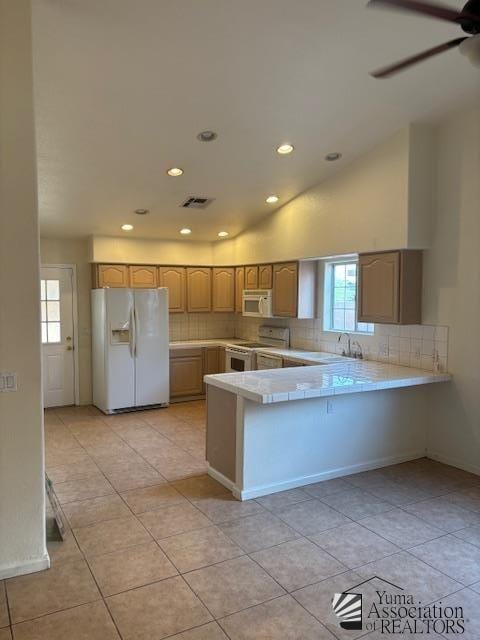 259EPATRICIA E Patricia St, Somerton, AZ 85350 - photo 4