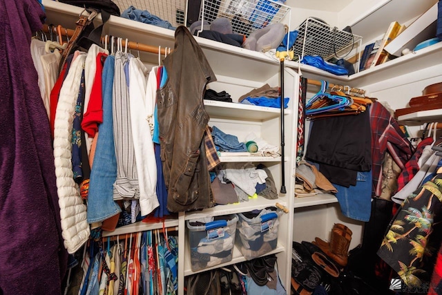 view of spacious closet