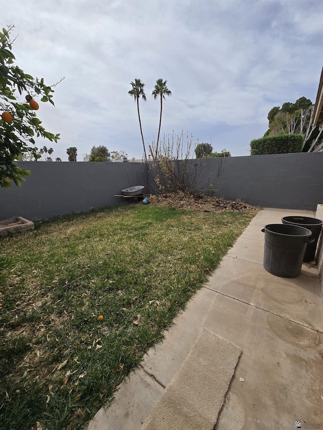 view of yard with a patio and a fenced backyard