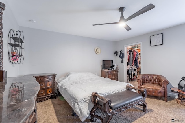 carpeted bedroom with a walk in closet, a closet, and ceiling fan