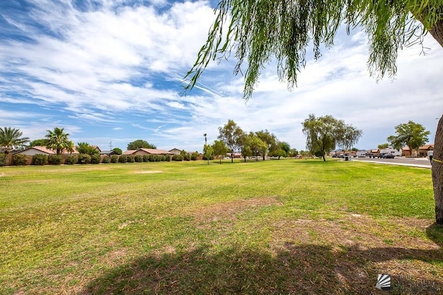7442 E 24th Ln, Yuma, AZ 85365 - view of grassy yard