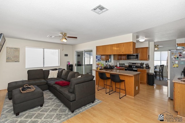 7442 E 24th Ln, Yuma, AZ 85365 - living room with a ceiling fan, light wood-style floors, and a textured ceiling