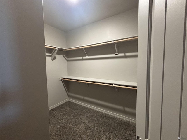 walk in closet with carpet