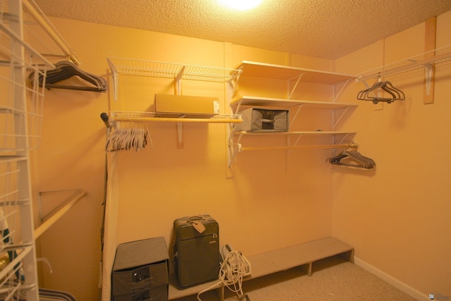 12459 E Del Rey Dr, Yuma, AZ 85367 - spacious closet featuring carpet flooring