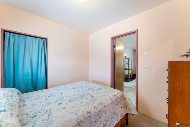 29433 San Jose Ave, Wellton, AZ 85356 - bedroom featuring light carpet