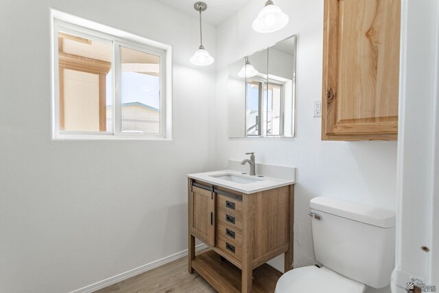 bathroom with vanity, toilet, wood finished floors, and a wealth of natural light