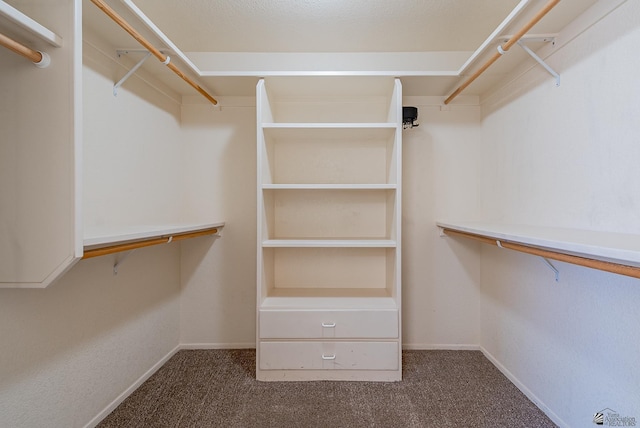 11594 E 27th Pl, Yuma, AZ 85367 - spacious closet with dark colored carpet
