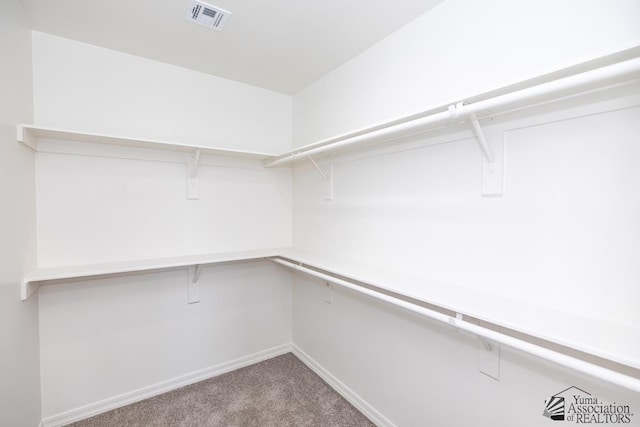 12683 E 51st Pl, Yuma, AZ 85367 - walk in closet with carpet