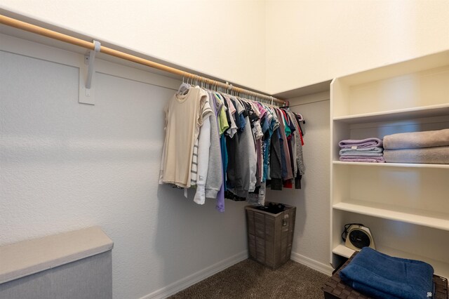 11602 E 33rd St, Yuma, AZ 85367 - walk in closet featuring carpet floors