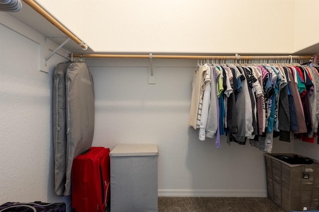 11602 E 33rd St, Yuma, AZ 85367 - walk in closet with carpet