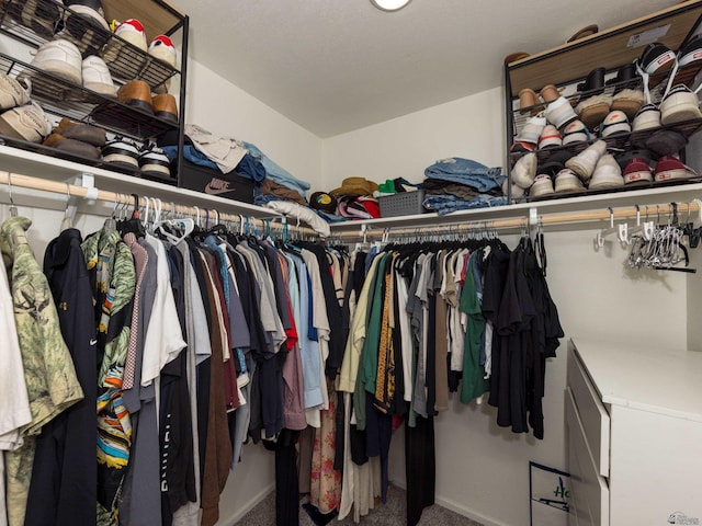 7335 E 36th Rd, Yuma, AZ 85365 - spacious closet featuring carpet