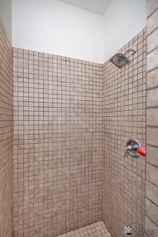 13400 S Onammi Ave, Yuma, AZ 85367 - bathroom featuring tiled shower