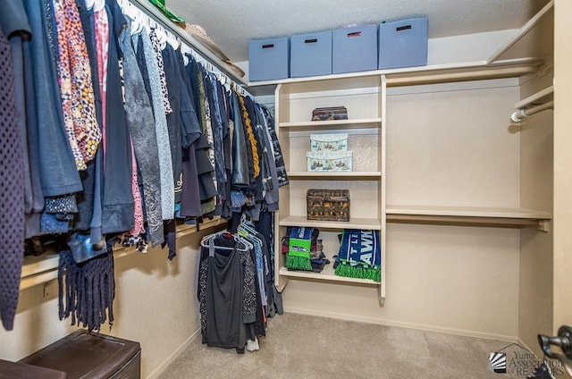 walk in closet featuring carpet flooring