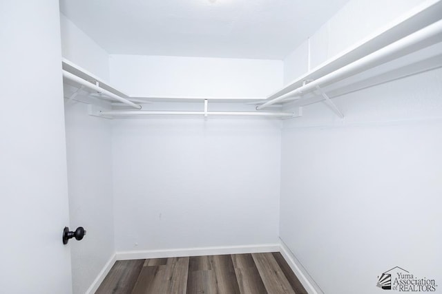 1934 S Athens Ave, Yuma, AZ 85364 - spacious closet with dark wood finished floors