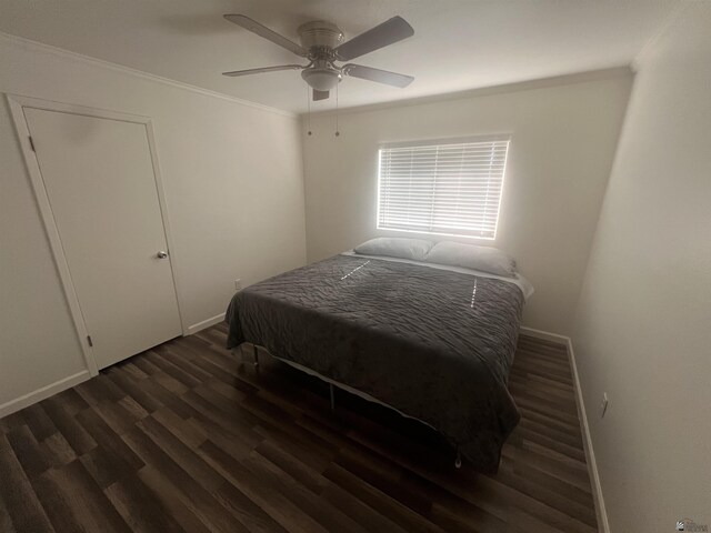 2504 S Marion Ave, Yuma, AZ 85365 - photo 11