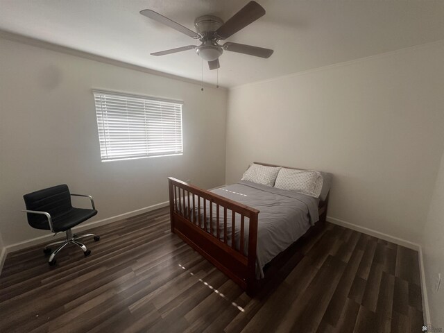 2504 S Marion Ave, Yuma, AZ 85365 - photo 12