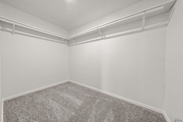 321 S 23rd Ave, Yuma, AZ 85364 - walk in closet featuring carpet floors