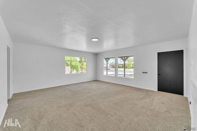 carpeted empty room with baseboards and a wealth of natural light