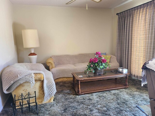 2045 S 14th Ave # 79, Yuma, AZ 85364 - living room featuring carpet floors and ceiling fan