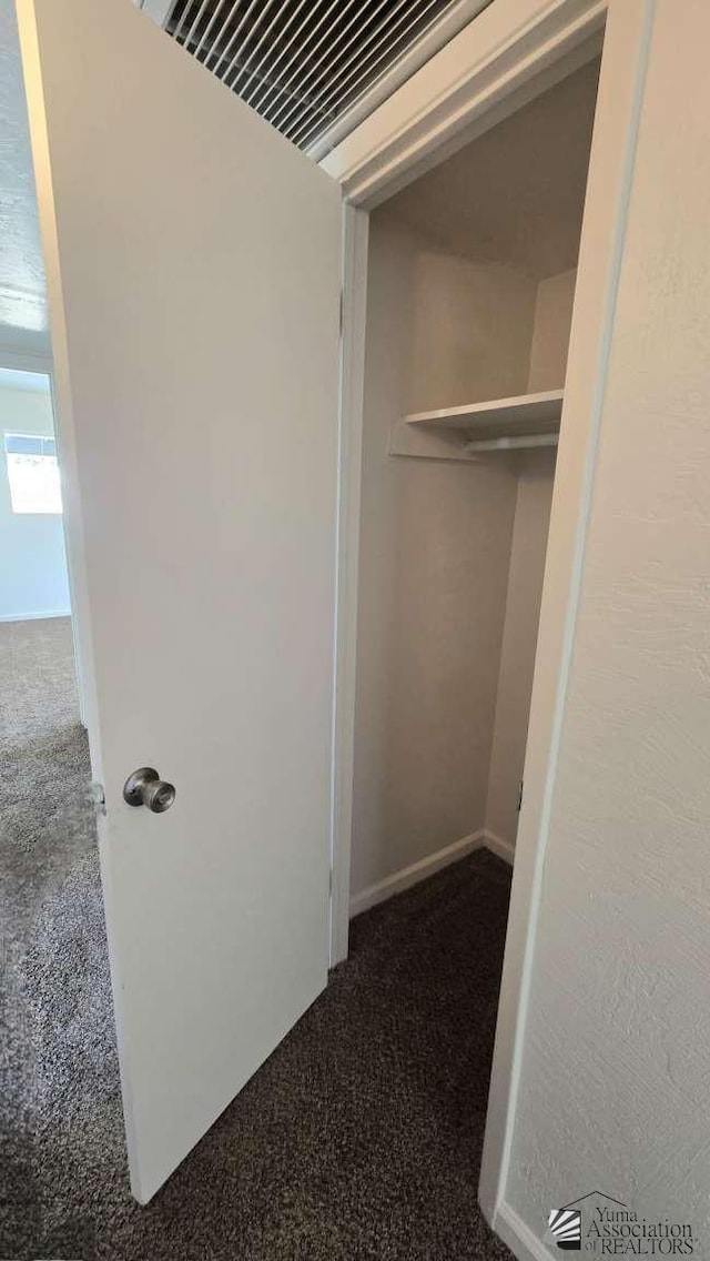 view of closet