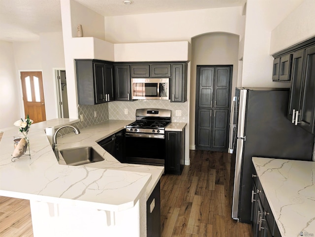 kitchen featuring a peninsula, appliances with stainless steel finishes, a sink, and dark wood-type flooring