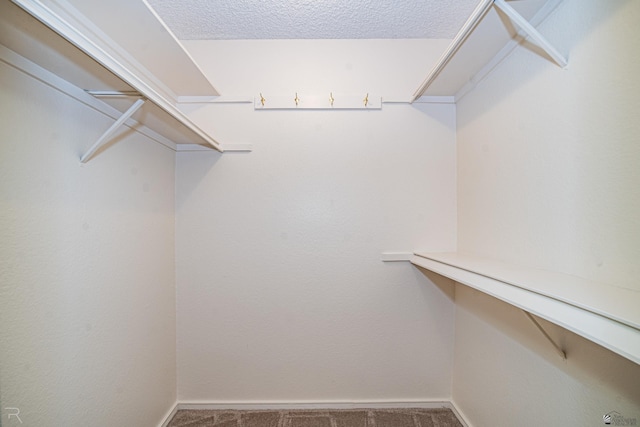 1413 E Kuns Ct, Yuma, AZ 85365 - photo 6