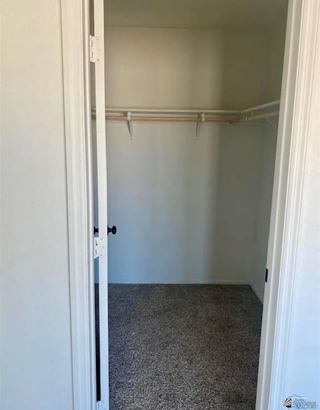 7903 E 46th Ln, Yuma, AZ 85365 - walk in closet with carpet