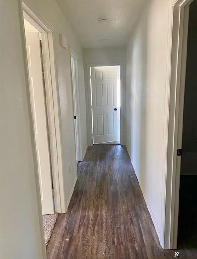 7903 E 46th Ln, Yuma, AZ 85365 - hall with dark wood-type flooring and baseboards