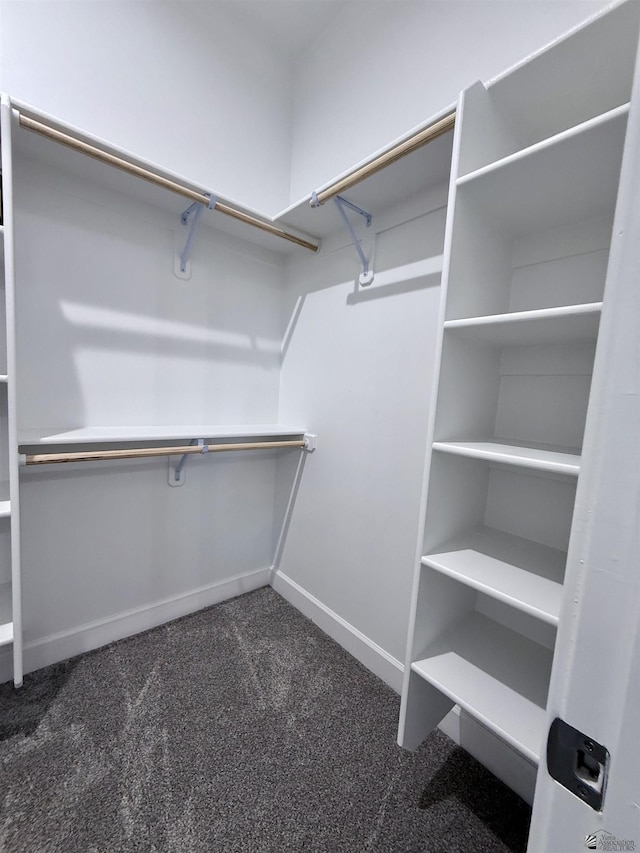 12360 E Calle Ln, Primera, Yuma, AZ 85367 - walk in closet with carpet flooring