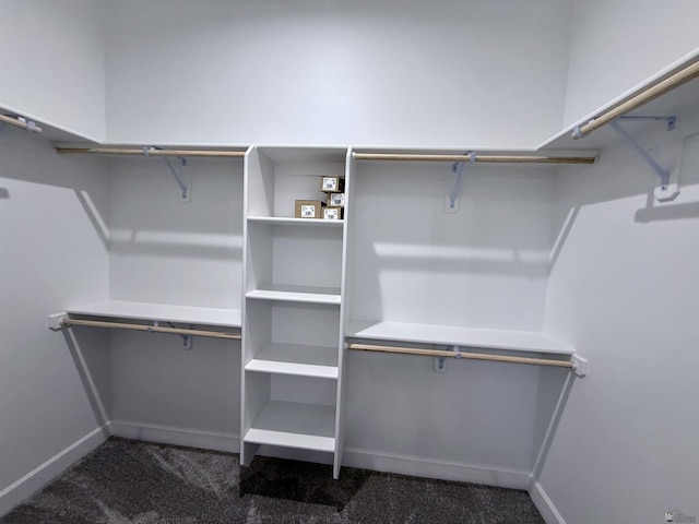 12360 E Calle Ln, Primera, Yuma, AZ 85367 - spacious closet with carpet floors