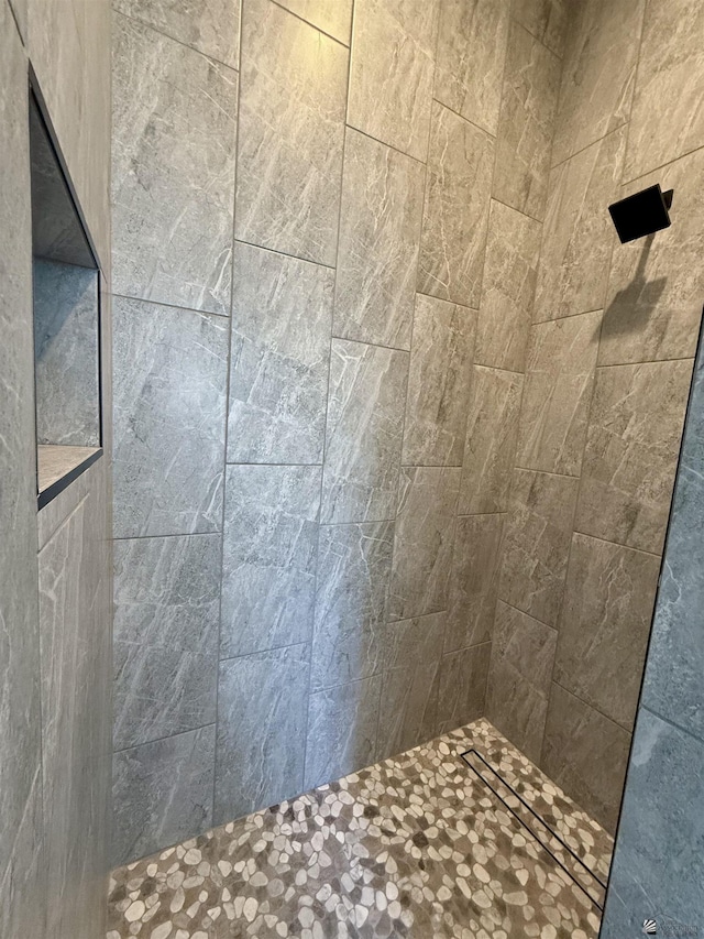 12360 E Calle Ln, Primera, Yuma, AZ 85367 - bathroom with a tile shower