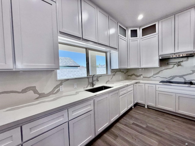 12360 E Calle Ln, Primera, Yuma, AZ 85367 - kitchen with dark wood-style flooring, black electric stovetop, a sink, decorative backsplash, and under cabinet range hood