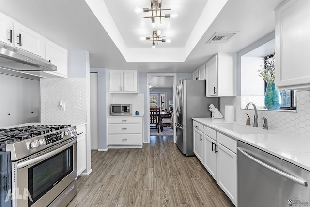 2032 W 13th Ln, Yuma, AZ 85364 - kitchen featuring appliances with stainless steel finishes, a tray ceiling, a sink, light countertops, and under cabinet range hood