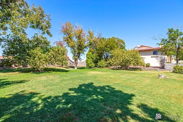 1376 S Hettema St, Yuma, AZ 85364 - view of grassy yard