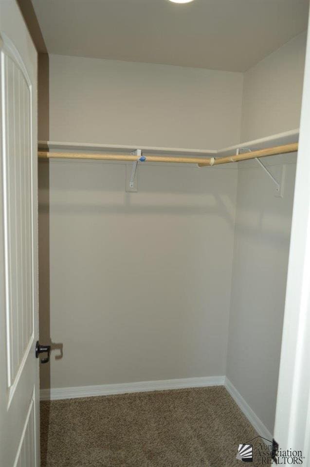 13132 E 55th Ln, Yuma, AZ 85367 - walk in closet featuring carpet flooring