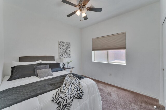 10780 S Madero St, Yuma, AZ 85367 - photo 12
